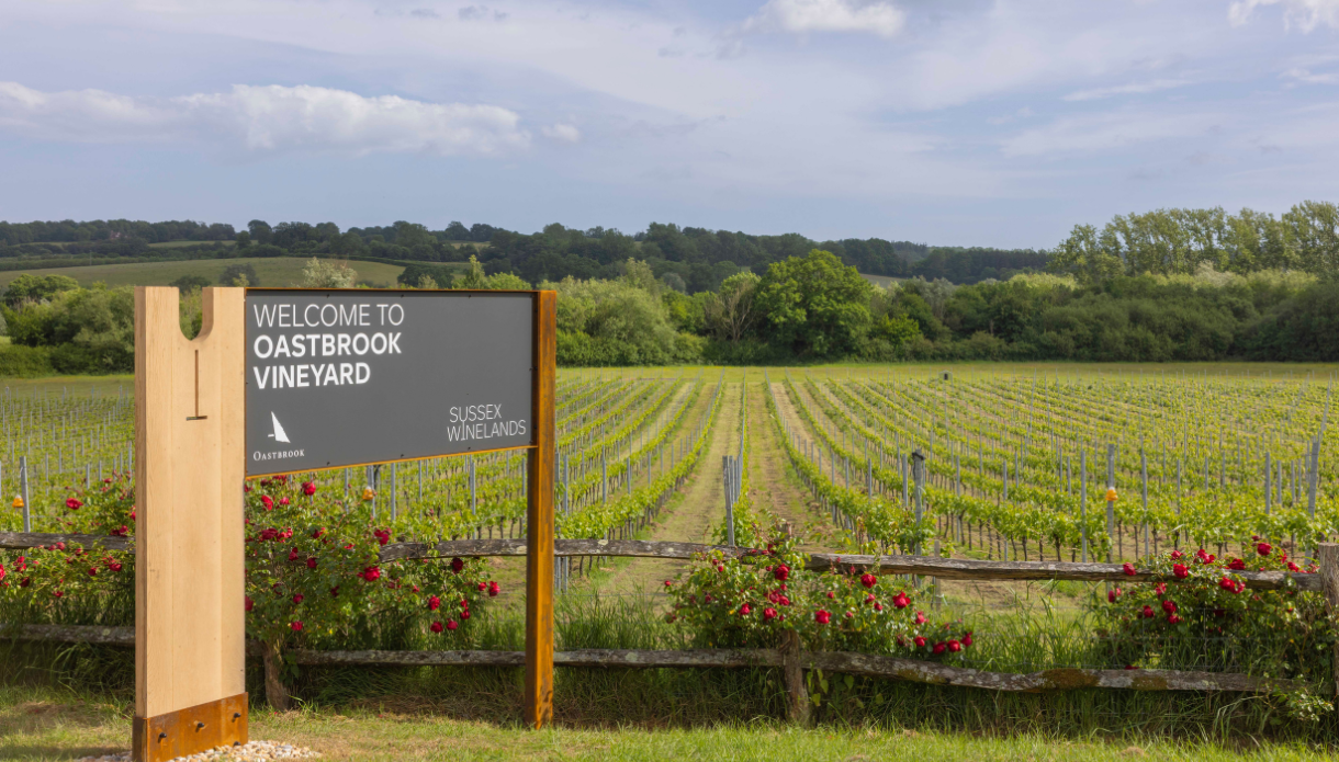 Meet the vineyards behind the Rother Wine Triangle